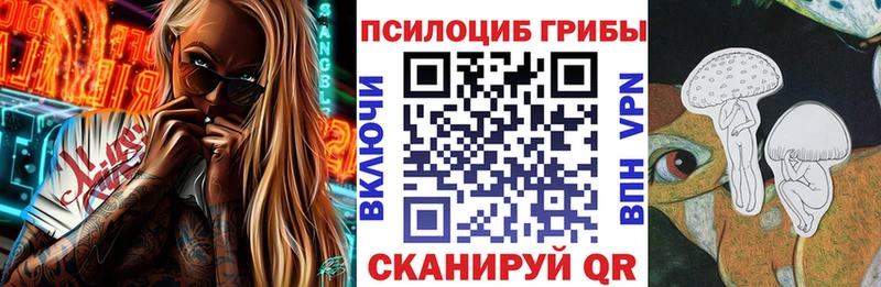 Купить закладки  Красный Холм  Псилоцибиновые грибы Psilocybine cubensis 
